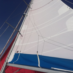 Grand-voile lattée coupe horizontale